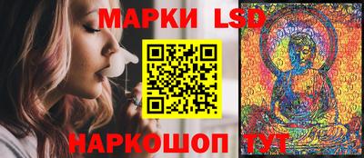 прущие грибы Краснокаменск