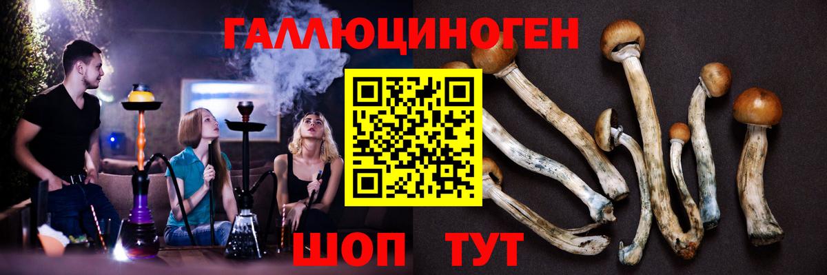Коломна  Псилоцибиновые грибы Psilocybine cubensis  Вход с VPN 